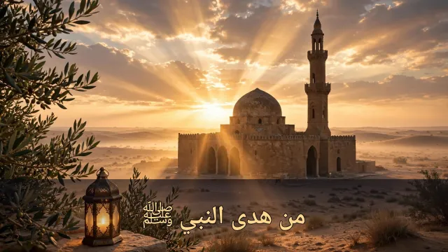 من هدى النبي ﷺ: دروس نبوية منيرة تنير طريق حياتك (الجزء الرابع والعشرون)